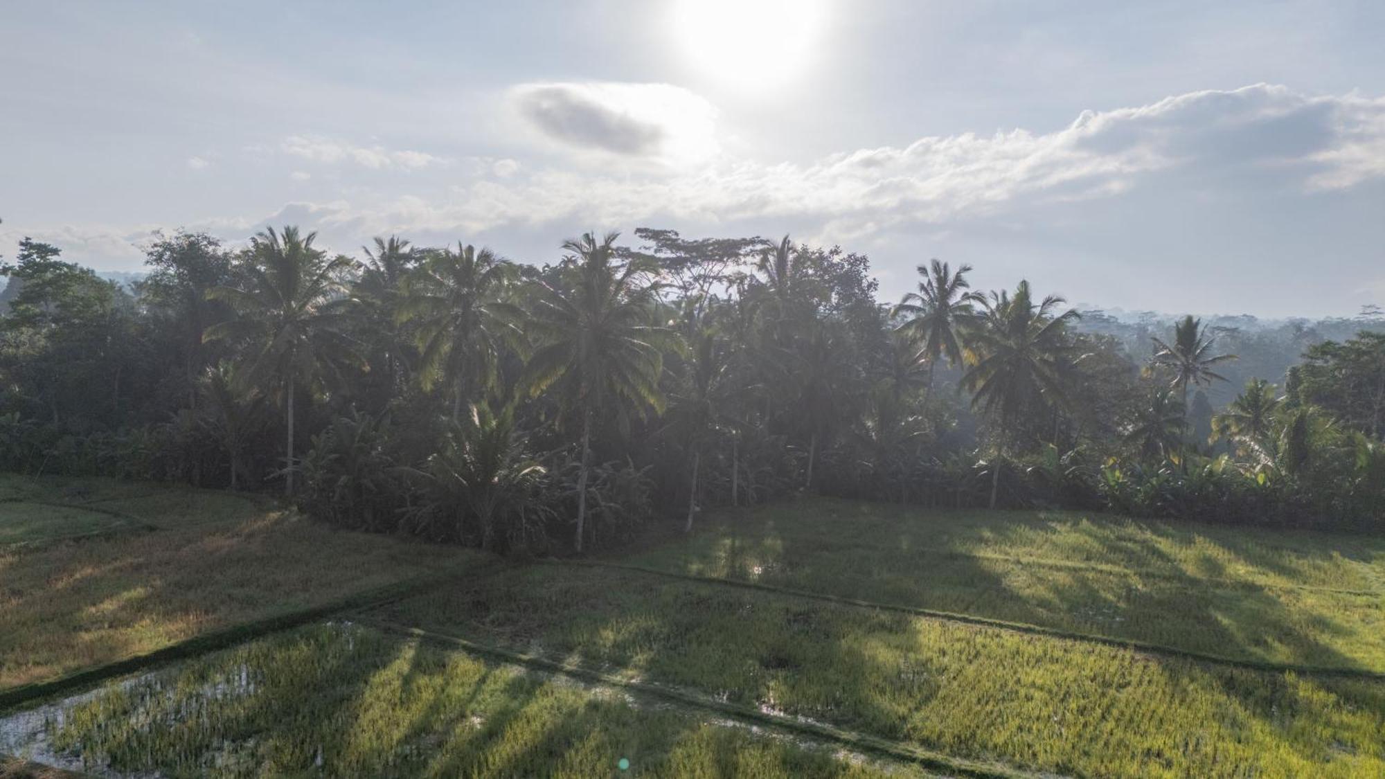 Aditara Sebatu Villa Ubud  Exterior photo